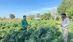 _29_photo_2025-03-10_09-21-58.gif