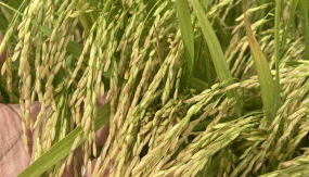 _33_photo_2025-07-23_09-19-12.gif